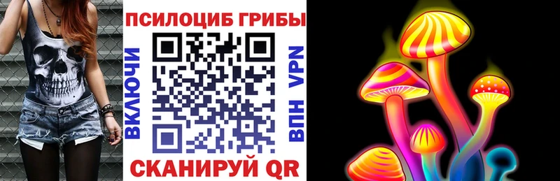 Галлюциногенные грибы Magic Shrooms  купить   Пенза 